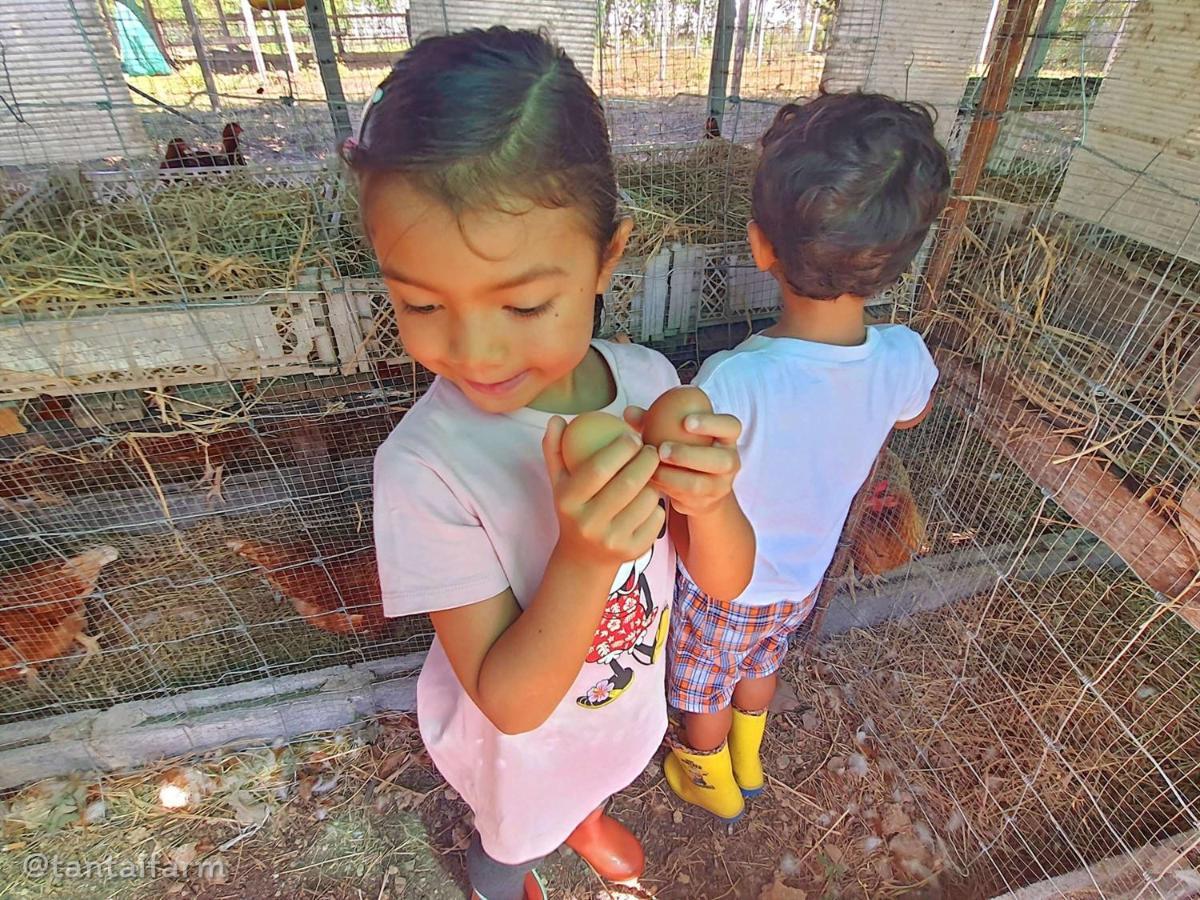 Tantai Eco Farm Stay At Khao Yai Ban Sap Noi Extérieur photo